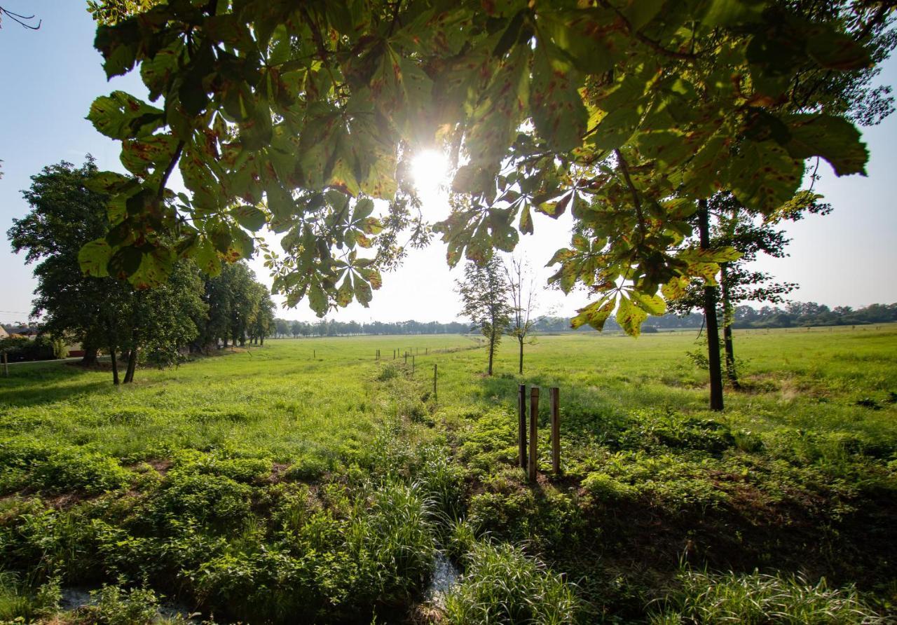 Residence Tvrz Skocice Eksteriør bilde